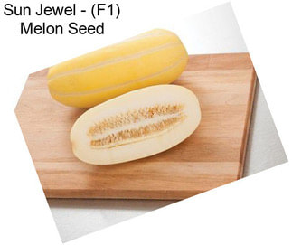 Sun Jewel - (F1) Melon Seed