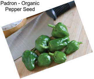 Padron - Organic Pepper Seed