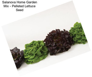 Salanova Home Garden Mix - Pelleted Lettuce Seed