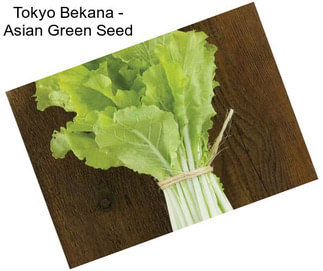 Tokyo Bekana - Asian Green Seed