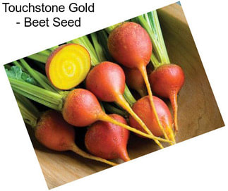 Touchstone Gold - Beet Seed