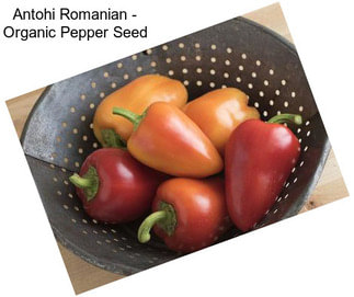 Antohi Romanian - Organic Pepper Seed