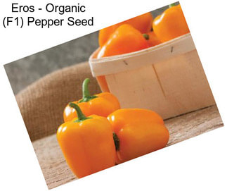 Eros - Organic (F1) Pepper Seed