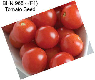 BHN 968 - (F1) Tomato Seed