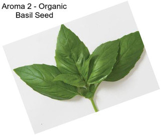 Aroma 2 - Organic Basil Seed