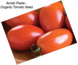 Amish Paste - Organic Tomato Seed