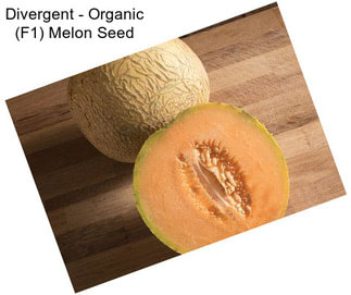 Divergent - Organic (F1) Melon Seed