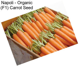 Napoli - Organic (F1) Carrot Seed