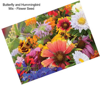 Butterfly and Hummingbird Mix - Flower Seed