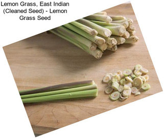 Lemon Grass, East Indian (Cleaned Seed) - Lemon Grass Seed