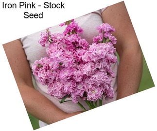 Iron Pink - Stock Seed