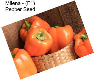 Milena - (F1) Pepper Seed