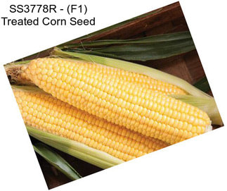 SS3778R - (F1) Treated Corn Seed