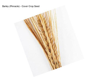 Barley (Pinnacle) - Cover Crop Seed