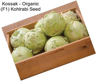 Kossak - Organic (F1) Kohlrabi Seed