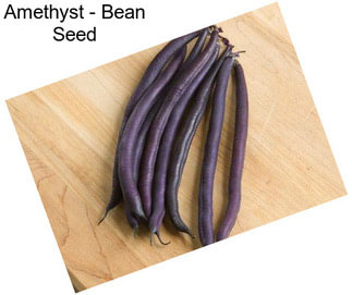 Amethyst - Bean Seed