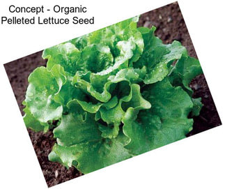 Concept - Organic Pelleted Lettuce Seed
