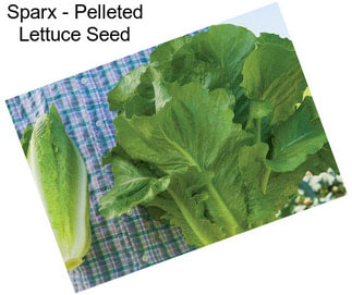 Sparx - Pelleted Lettuce Seed
