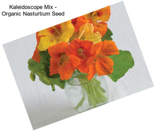 Kaleidoscope Mix - Organic Nasturtium Seed