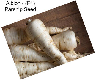 Albion - (F1) Parsnip Seed