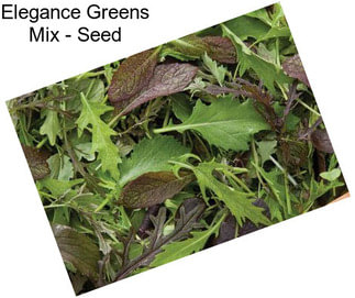 Elegance Greens Mix - Seed