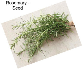 Rosemary - Seed