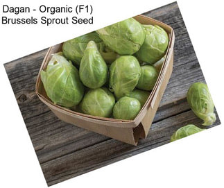 Dagan - Organic (F1) Brussels Sprout Seed