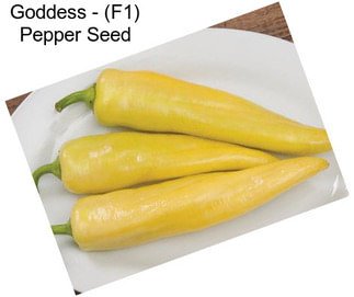 Goddess - (F1) Pepper Seed