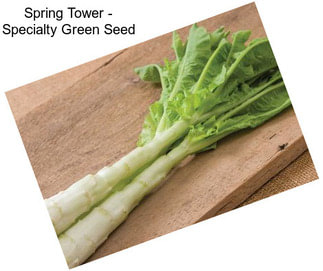 Spring Tower - Specialty Green Seed