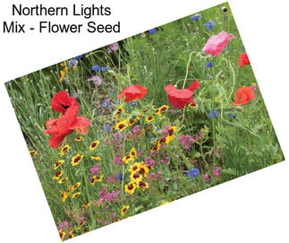 Northern Lights Mix - Flower Seed