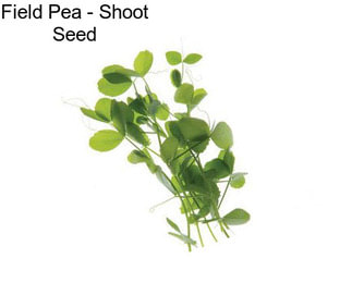 Field Pea - Shoot Seed