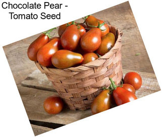Chocolate Pear - Tomato Seed