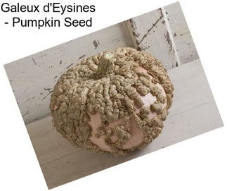 Galeux d\'Eysines - Pumpkin Seed