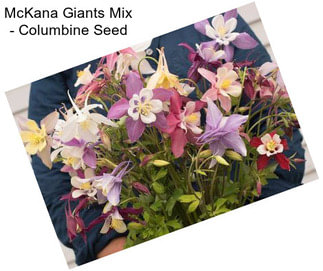 McKana Giants Mix - Columbine Seed