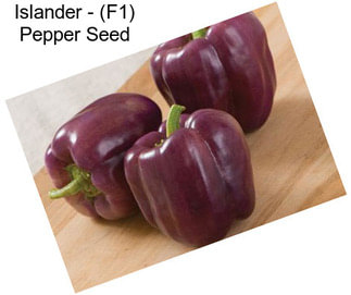 Islander - (F1) Pepper Seed