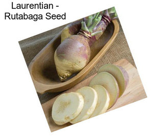 Laurentian - Rutabaga Seed