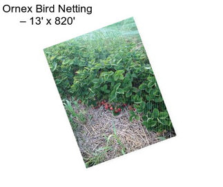 Ornex Bird Netting – 13\' x 820\'