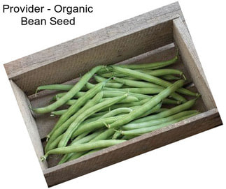 Provider - Organic Bean Seed