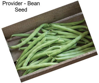 Provider - Bean Seed