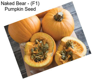 Naked Bear - (F1) Pumpkin Seed