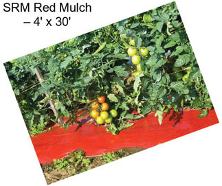 SRM Red Mulch – 4\' x 30\'