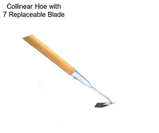 Collinear Hoe with 7\