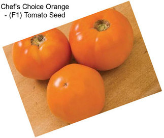 Chef\'s Choice Orange - (F1) Tomato Seed