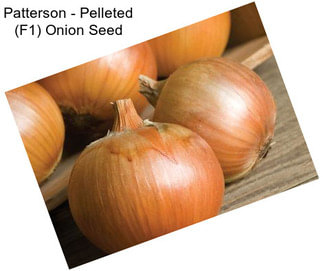 Patterson - Pelleted (F1) Onion Seed