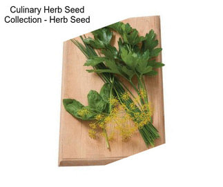 Culinary Herb Seed Collection - Herb Seed