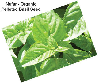 Nufar - Organic Pelleted Basil Seed