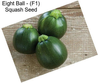 Eight Ball - (F1) Squash Seed