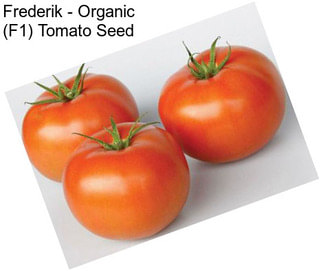 Frederik - Organic (F1) Tomato Seed