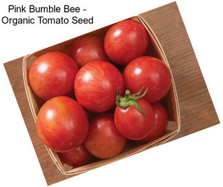 Pink Bumble Bee - Organic Tomato Seed