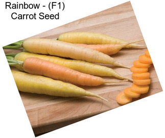 Rainbow - (F1) Carrot Seed